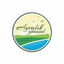 مركز عصير التفاح الأخضر brand