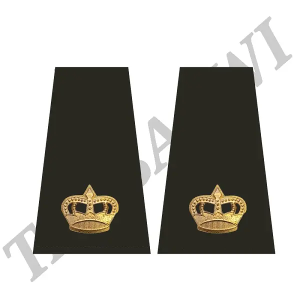 رتبة رائد الجيش اداري image 0