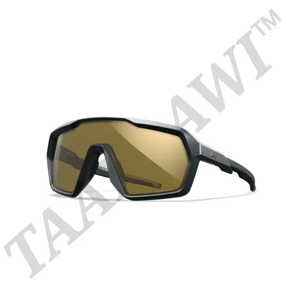WX Citadel Frame Matte Graphite Grey Lenses  Gold Mirror image 0
