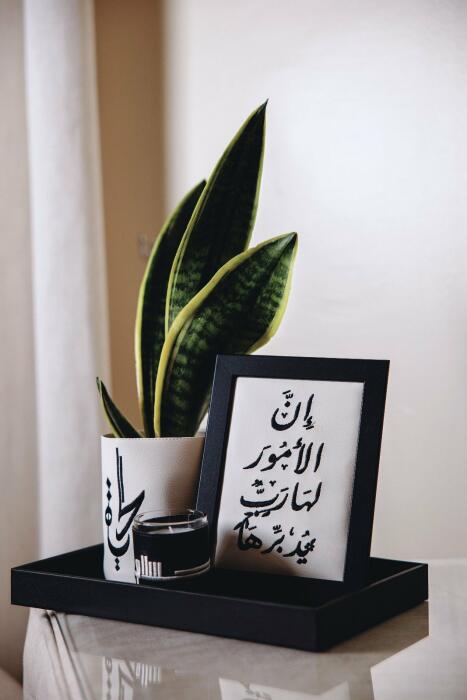 صينية تنسيقات من أشياء AA142 image 0