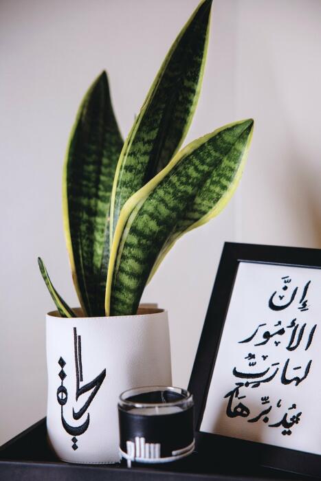 صينية تنسيقات من أشياء AA142 image 1