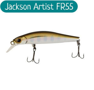 JACKSON ARTIST FR55 -4g LYM image 0