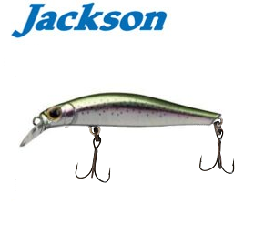 JACKSON ARTIST FR55 -4g  RN image 0