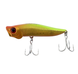 Jackson R.A Popper Floating Lure SGC                  image 0