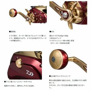 DAIWA ELECTRIC REEL 24 SEABORG G800MJ image 1