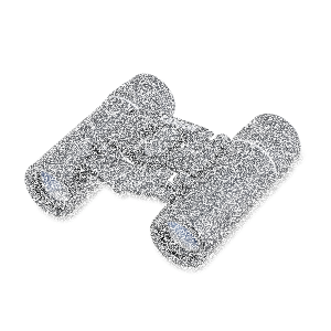 Carson Kinglet™ 8x21mm Magnification Compact and Lightweight Binoculars (KB-821) image 2