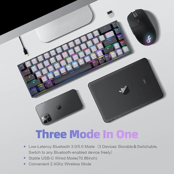 DARK FOREST DarkForest tri-mode Bluetooth 5.0/2.4G/Wired RGB  type-c cable  gaming keyboard (Black+gray) image 2