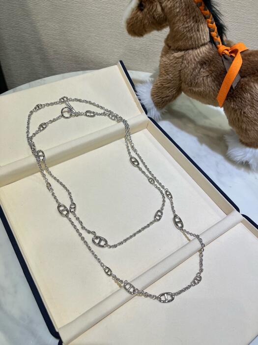 Hermes image 2