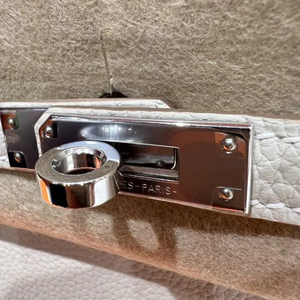 Birkin 25 Togo image 7