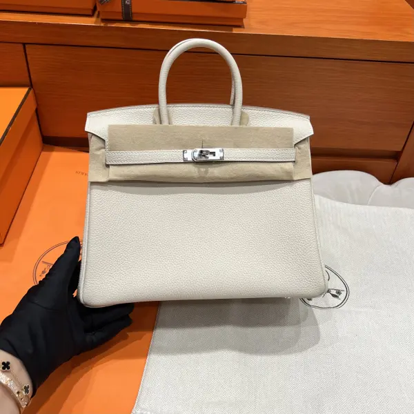 Birkin 25 Togo image 1