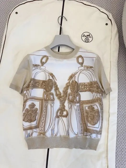 Hermes image 0