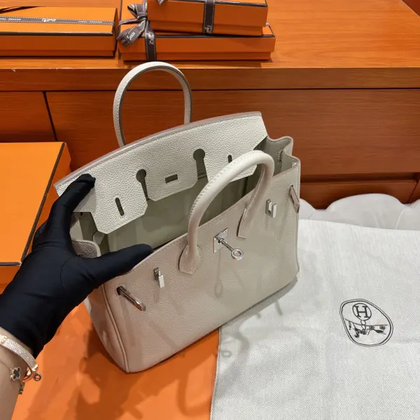 Birkin 25 Togo image 3