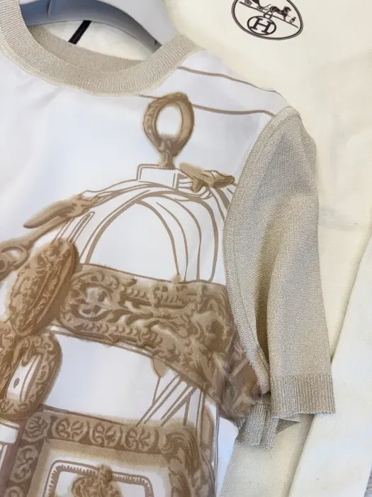 Hermes image 1