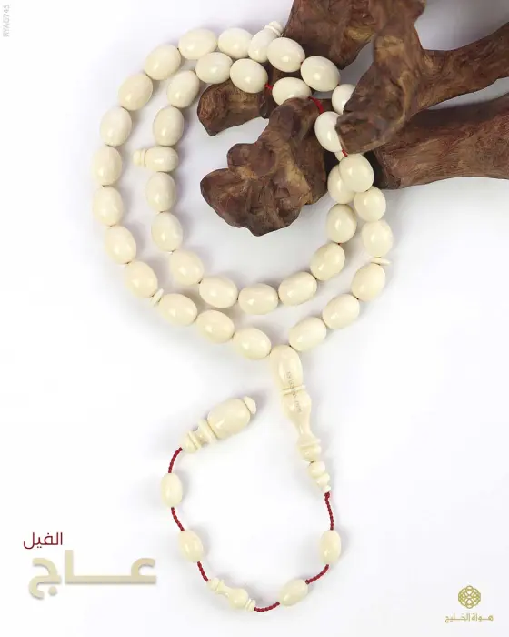 مسباح عاج الفيل image 0