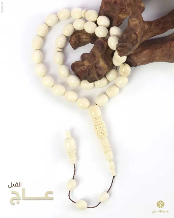 مسباح عاج الفيل image 0