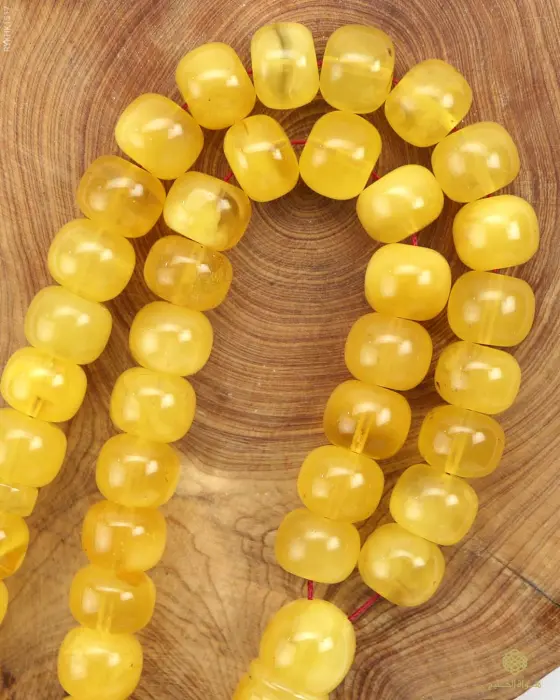 كهرمان كالينغرادي  image 1