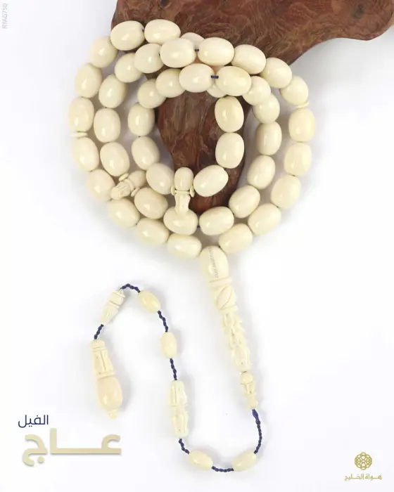 مسباح عاج الفيل-شاهد 1 image 0