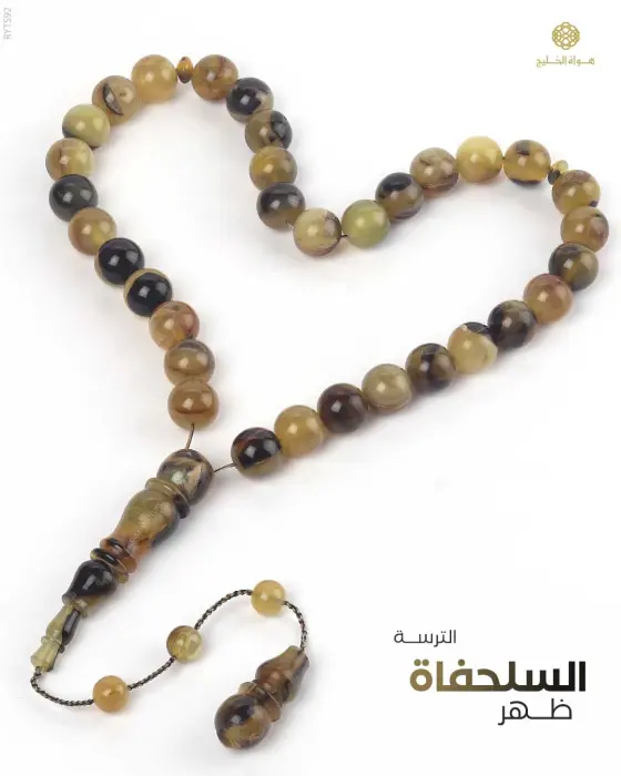 مسباح ظهر السلحفاة image 0