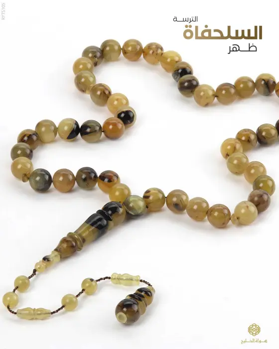 مسباح ظهر السلحفاة image 0