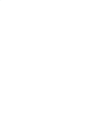 مسباح اليانسون  image 2