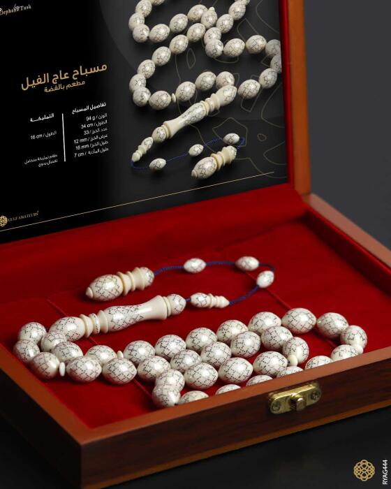 مسباح عاج الفيل image 2
