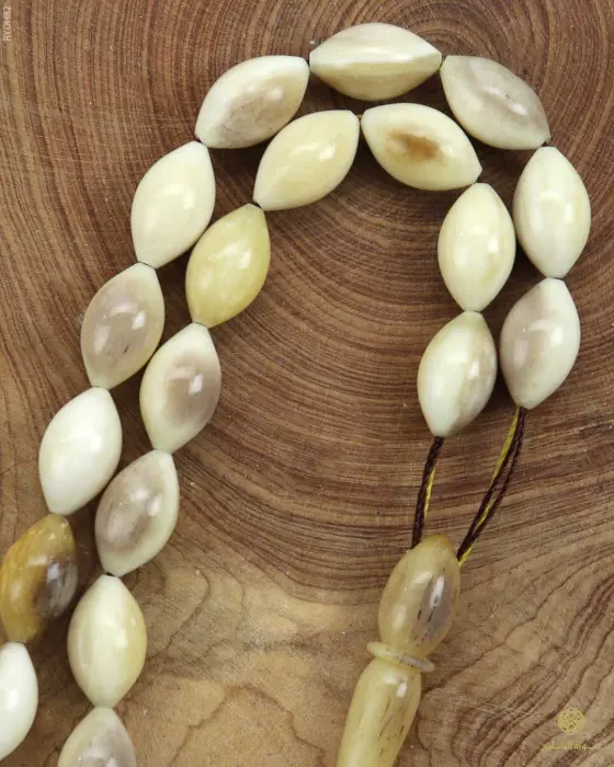 مسباح قرن الغزال image 1