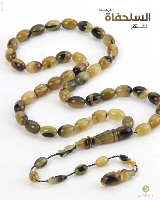 مسباح ظهر السلحفاة image 0