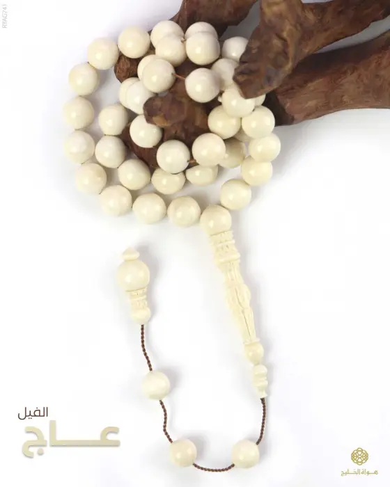 مسباح عاج الفيل image 0