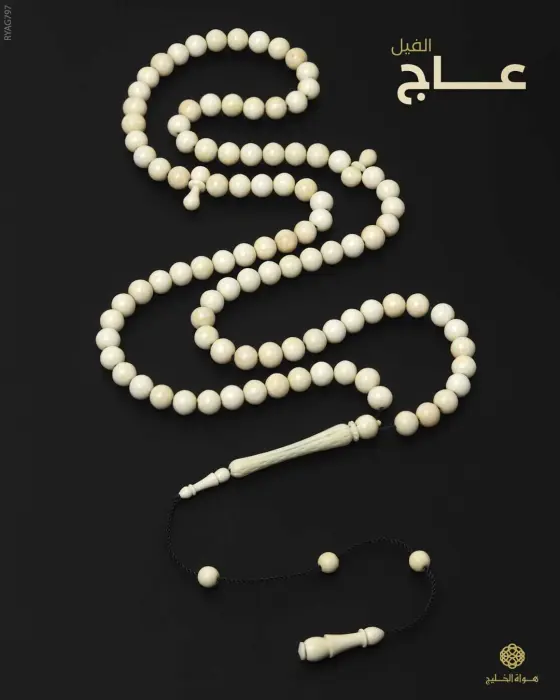 مسباح عاج الفيل image 0