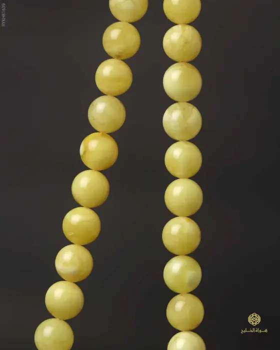 كهرمان كالينغرادي  image 1
