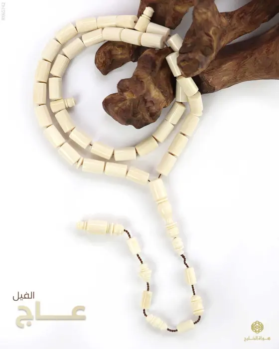 مسباح عاج الفيل image 0