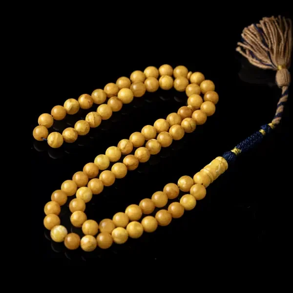كهرب بولندي image 0
