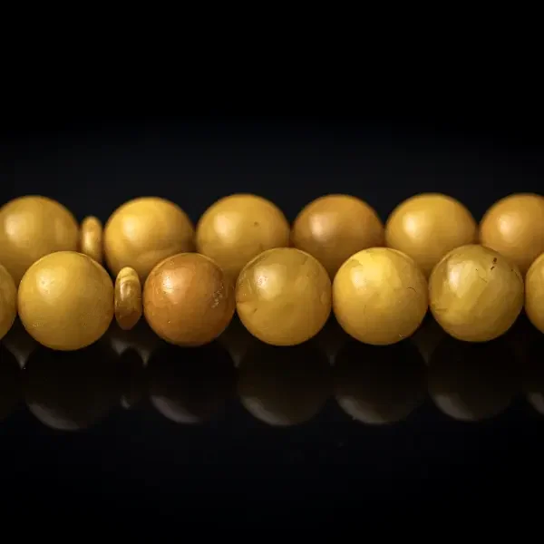 كهرب بولندي image 2