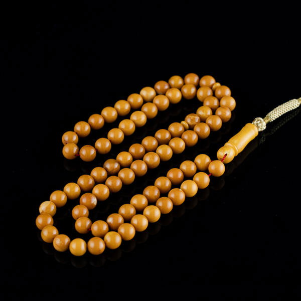 كهرب بولندي image 0