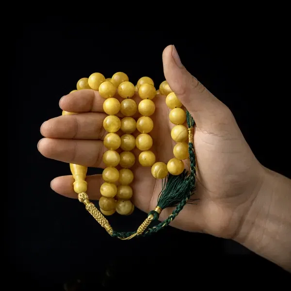 كهرب بولندي image 1