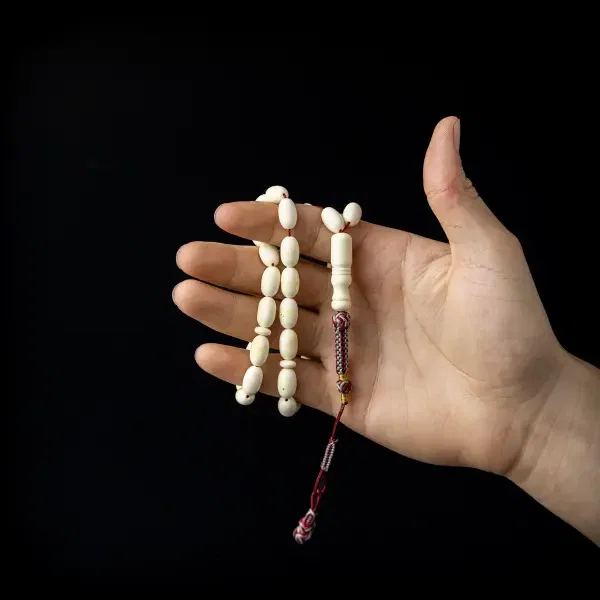 تراب كهرب بولندي image 1
