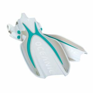 MANTA RAY image 6