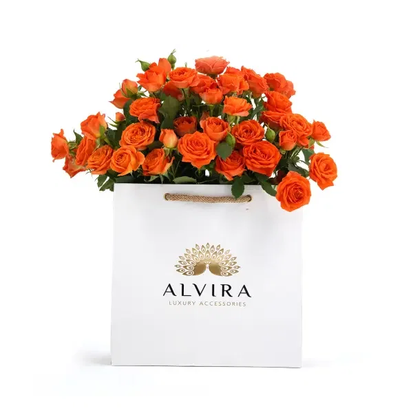 Alvira Gift Set-39 image 1