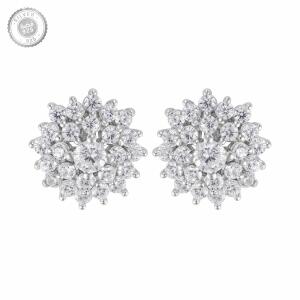 Sterling Silver Earrings - SIL1014-E image 0