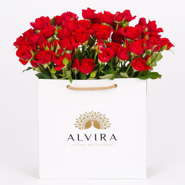Alvira Gift Set image 1