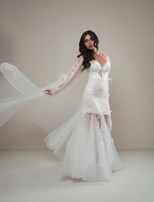 CELEBRITY image 6