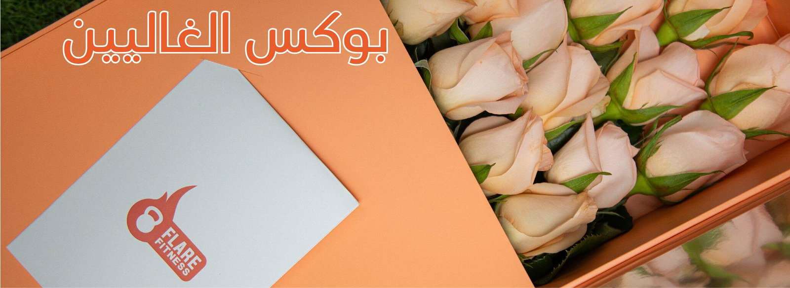 slider 2191