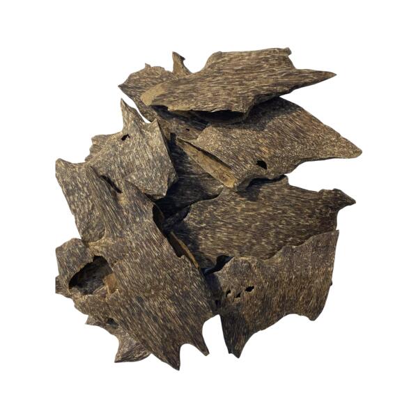 بخور قواقع تراد image 0