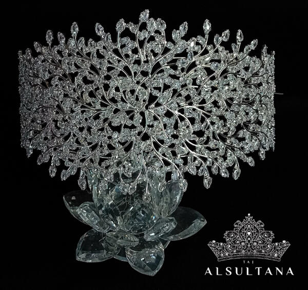  20-1229z اكسسوار شعر image 4