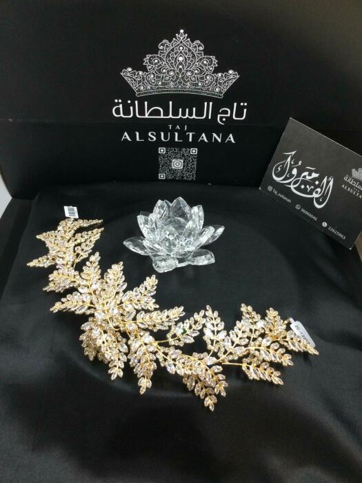  20-1228z  اكسسوار شعر image 3