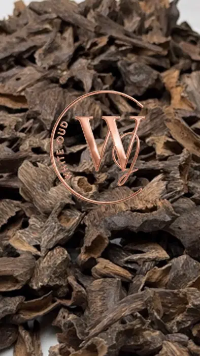 White Oud VIP Gift Box صندوق جلد من وايت عود هديه image 4