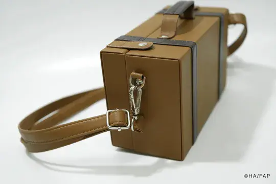 Edward's Suitcase (Includes Family Portrait) image 4