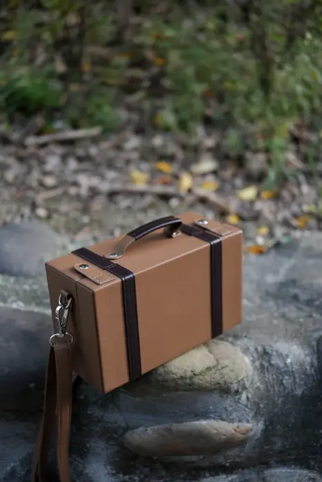 Edward's Suitcase (Includes Family Portrait) image 2