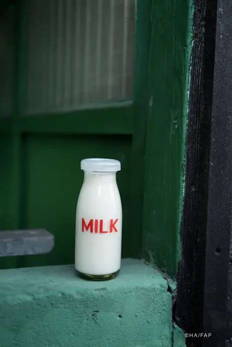 Milk Bottle (1% Chance to Win Gate of Truth Standing Mirror) image 1