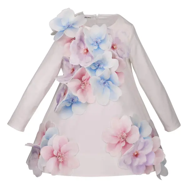 CAPABILITY Dress image 0